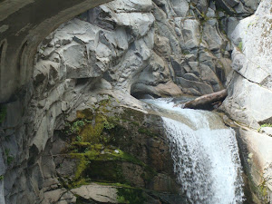 Christine Falls