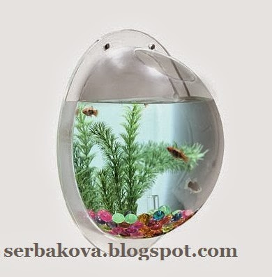 Приспособление для аквариума Приспособление для аквариума