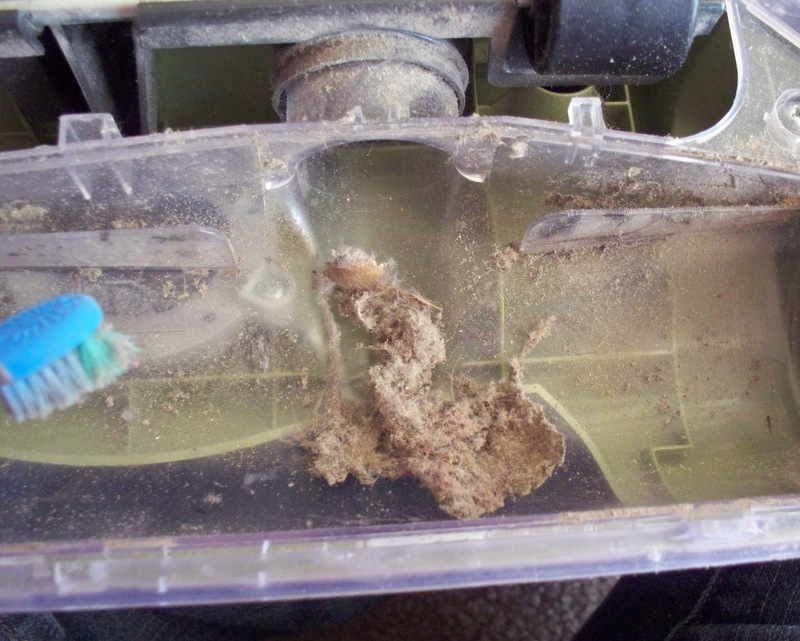 How to Clean a Hoover Wind Tunnel Vacuum By Hilary Jordan