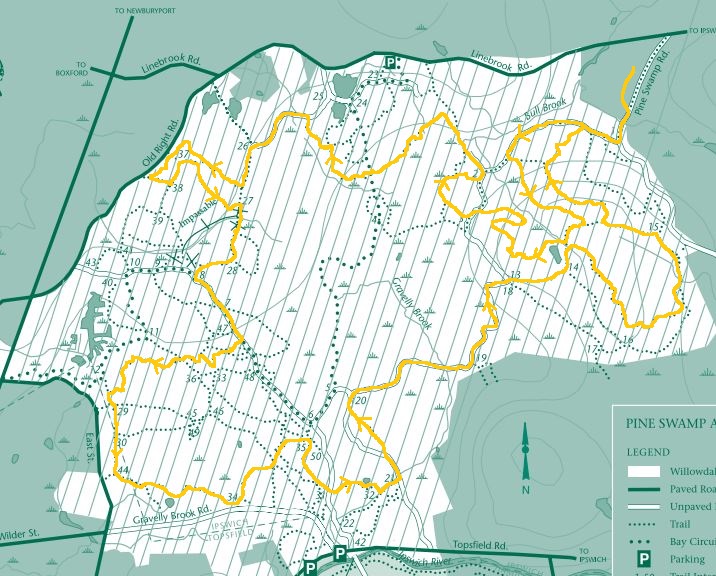 Northeast Adventures Stone Cat Trail Marathon recap