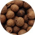 Allspice