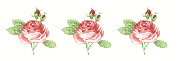 Bordes de rosas para imprimir Rosas delicadas para cartas de amor