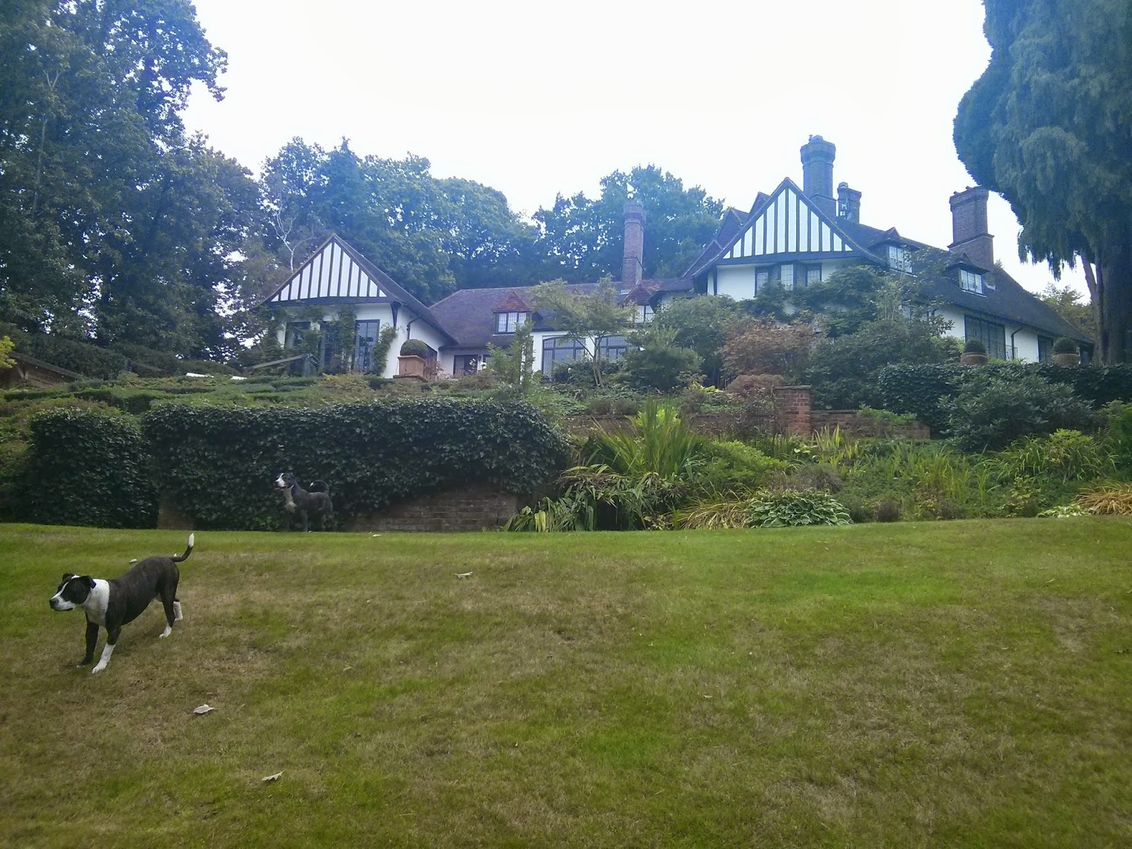 PEAS ON TOAST john lennon's house