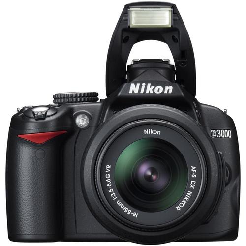 Life, Art, Business Nikon D3000