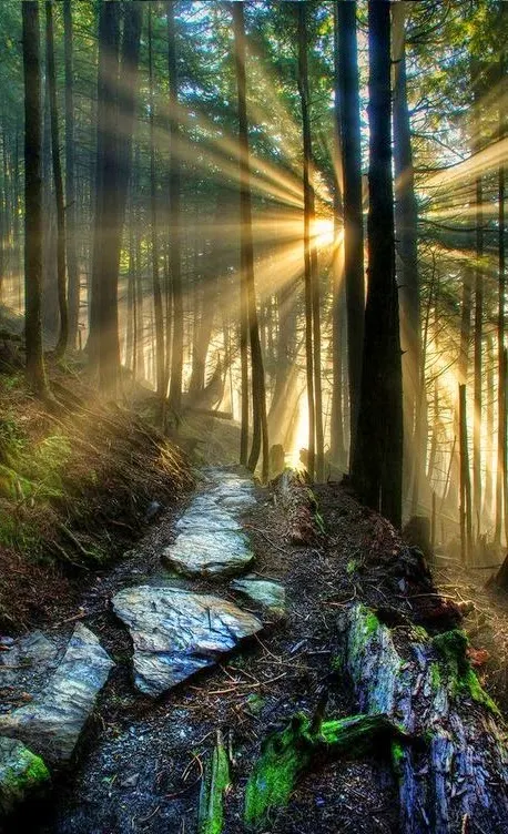 Eldorado National Park,Bishop ,California