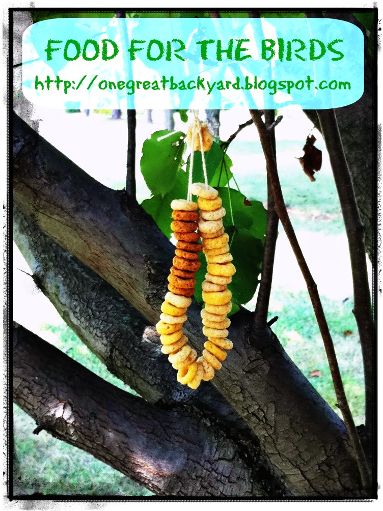 One Great Backyard Get Outside and Play Food for the Birds