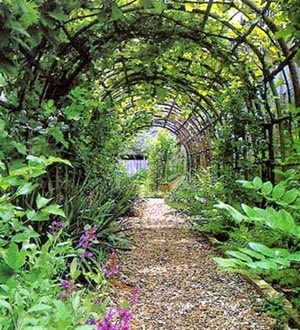 Crow Faery Laura: My Future Garden