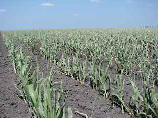 read instructional design for action