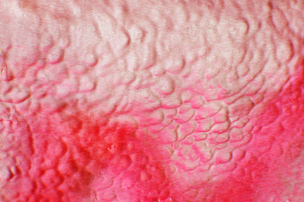 pairs of things (cotton) candy (floss)