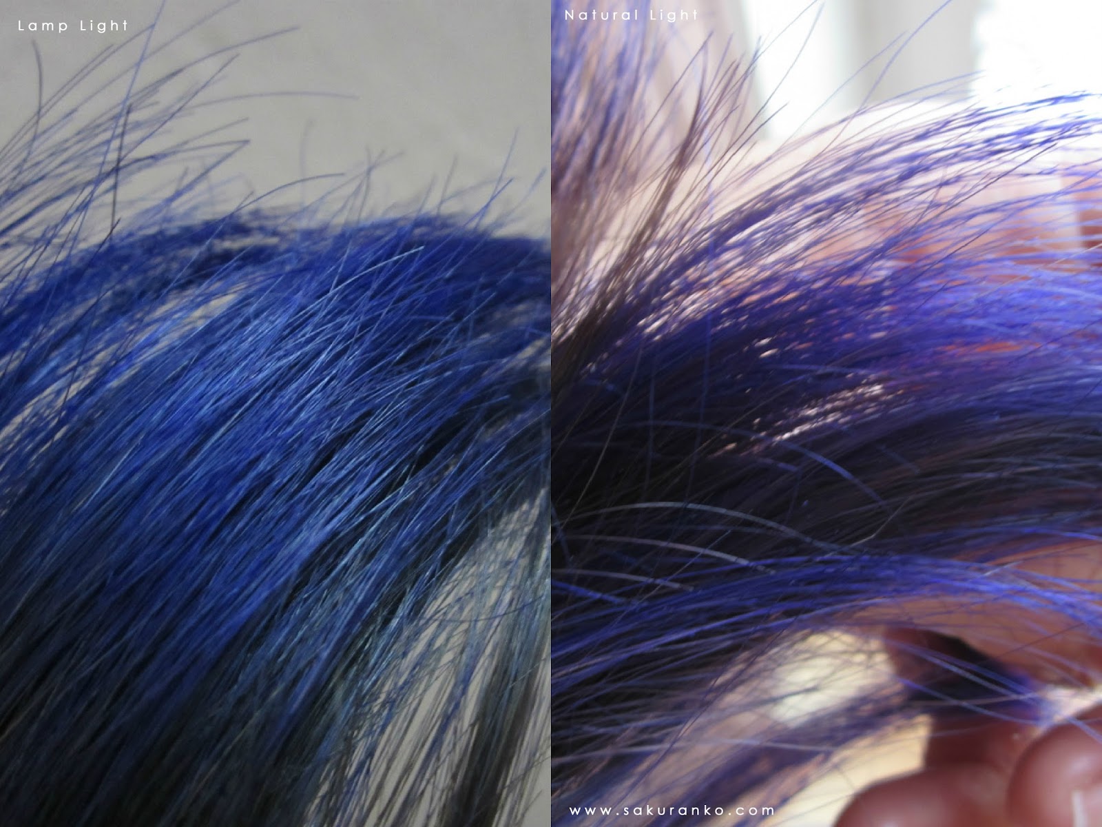 9. Iroiro Neon Blue Hair Dye on Bleached Hair - wide 5