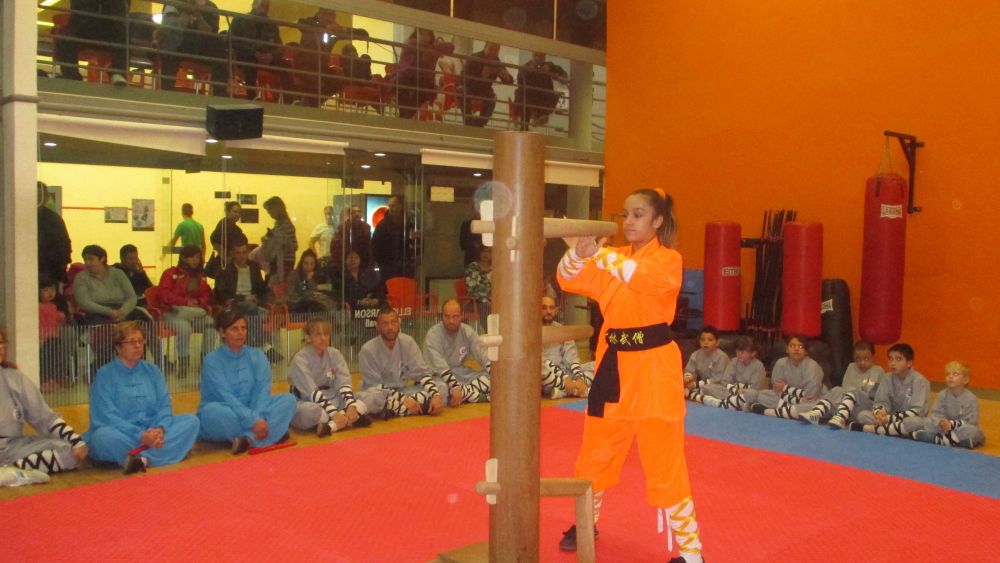 Clases y Cursos de Artes Marciales y Cultura China - Kung-Fu Master Senna.