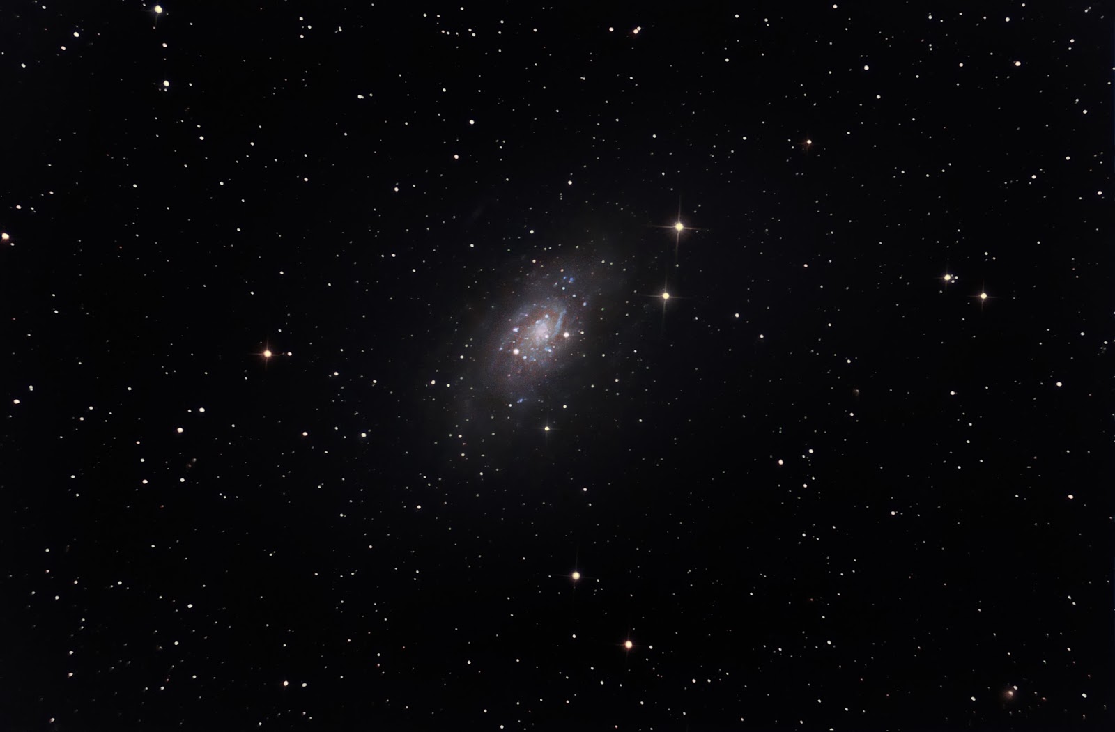 NGC2403+galaxy+master+pain+in+the+ass.jp