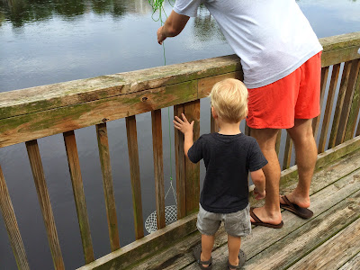 8 Things to Do with Kids in Edisto Island, SC | The Lowcountry Lady