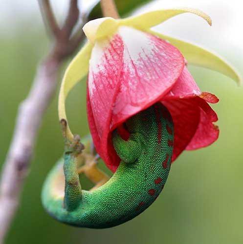 Hansevalley Dezember 2018