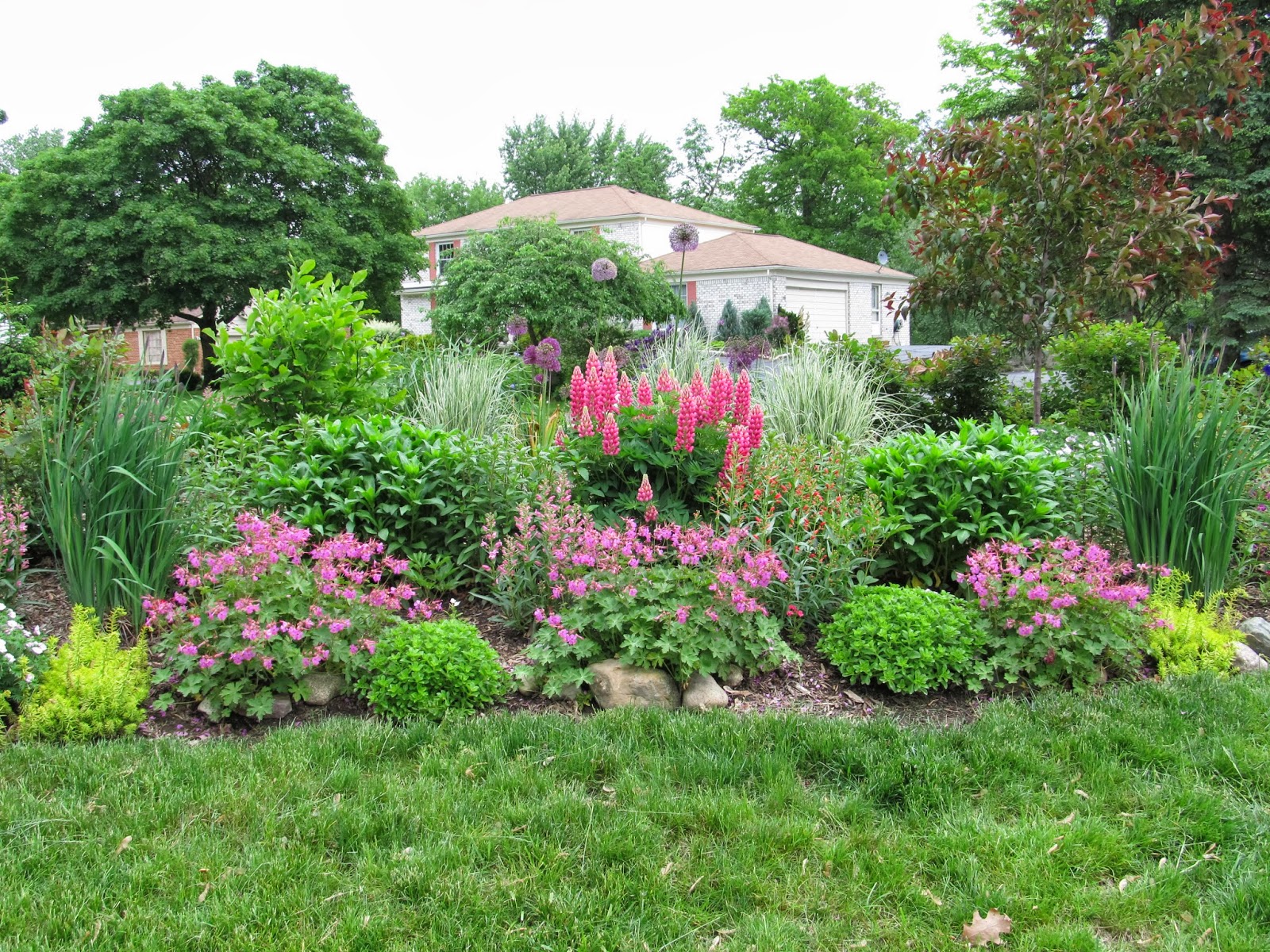 Designing Dreams on a Dime Spring Blooms