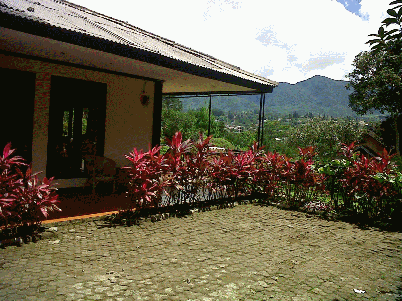 Villa No.008
