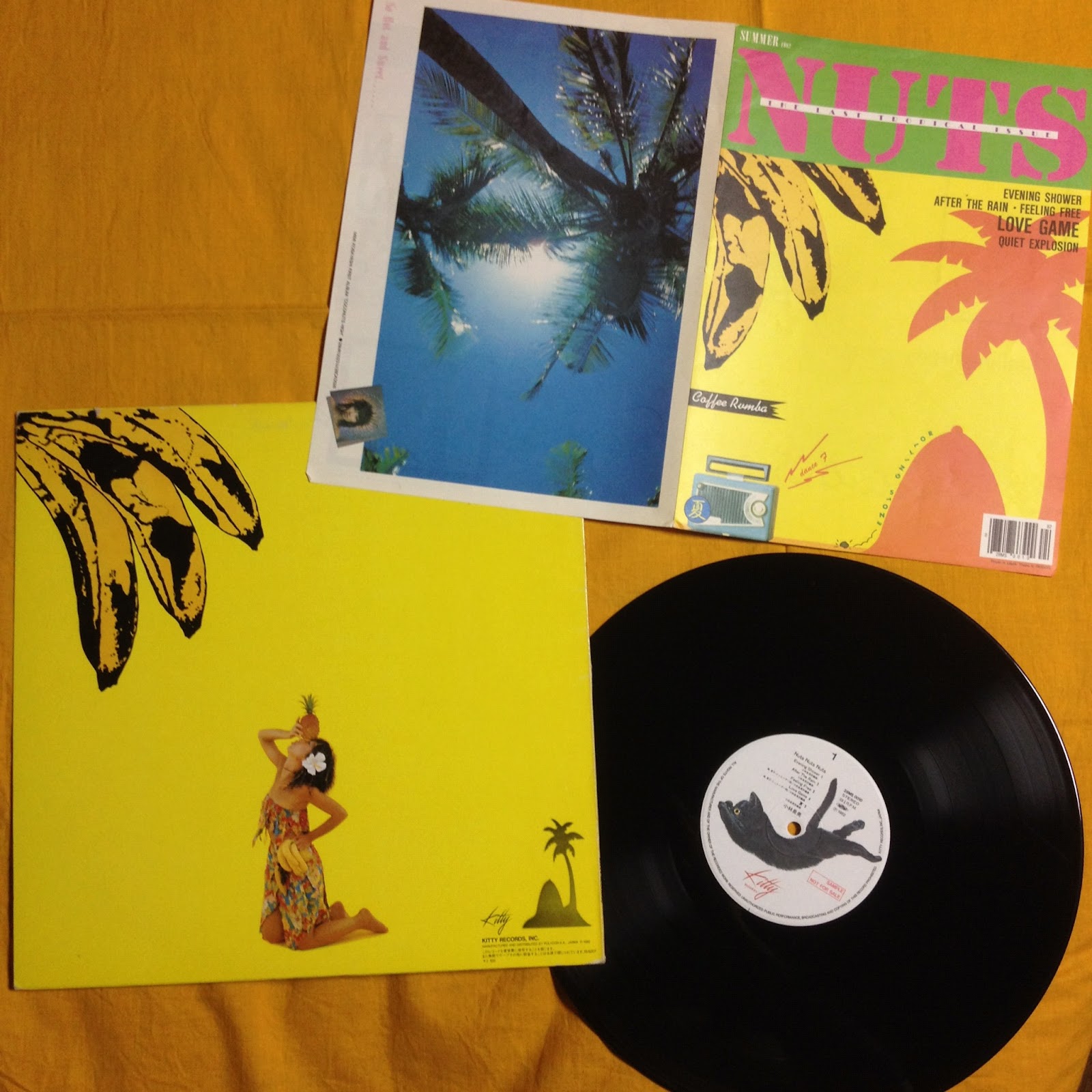 Izumi Kobayashi Flying Mimi Band Sea Flight Izumi Kobayashi Flying Mimi Band Sea Flight