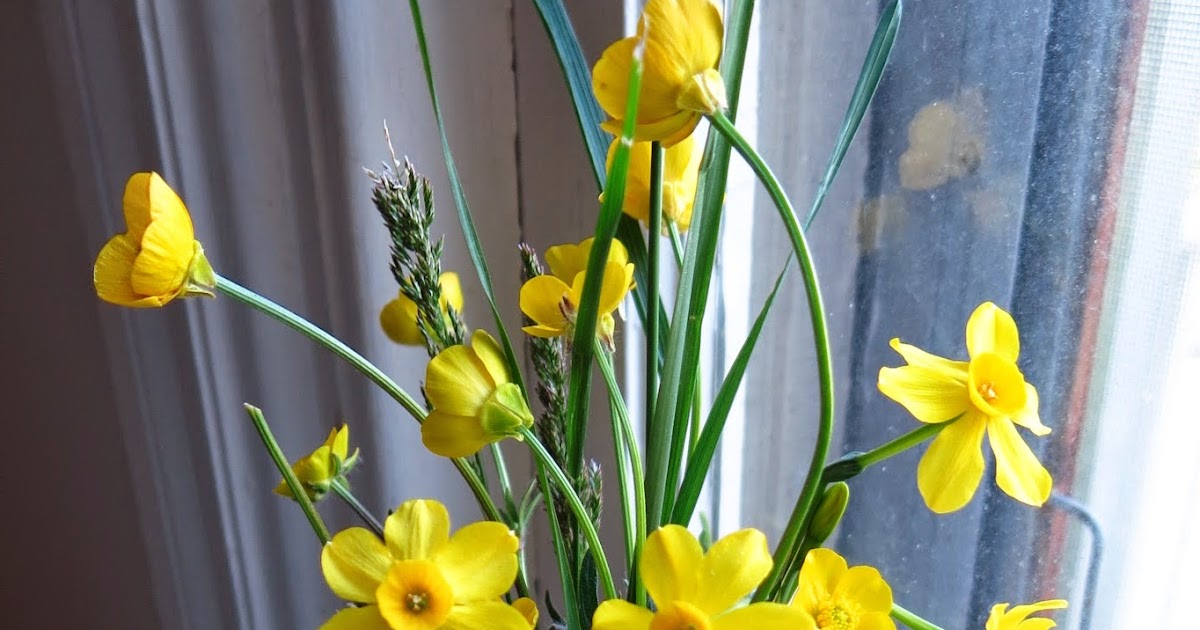 Windowsill Arranging buttercups and daffodils