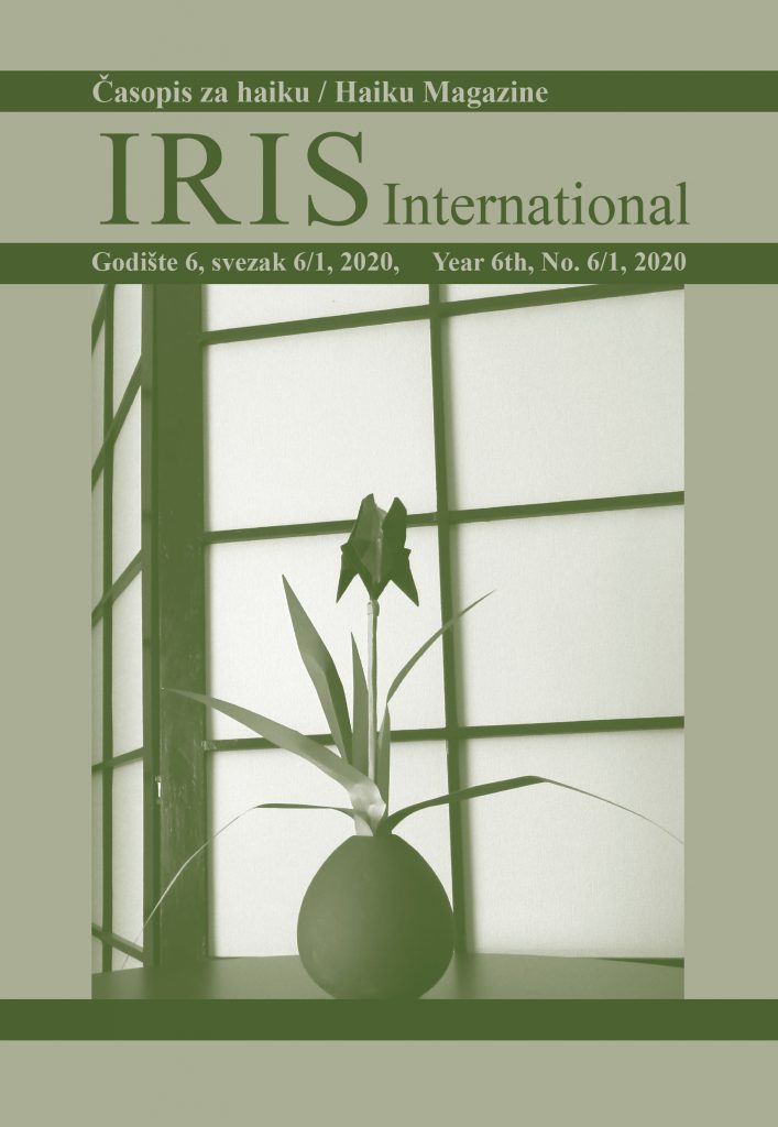 "IRIS INTERNATIONALS" No.6