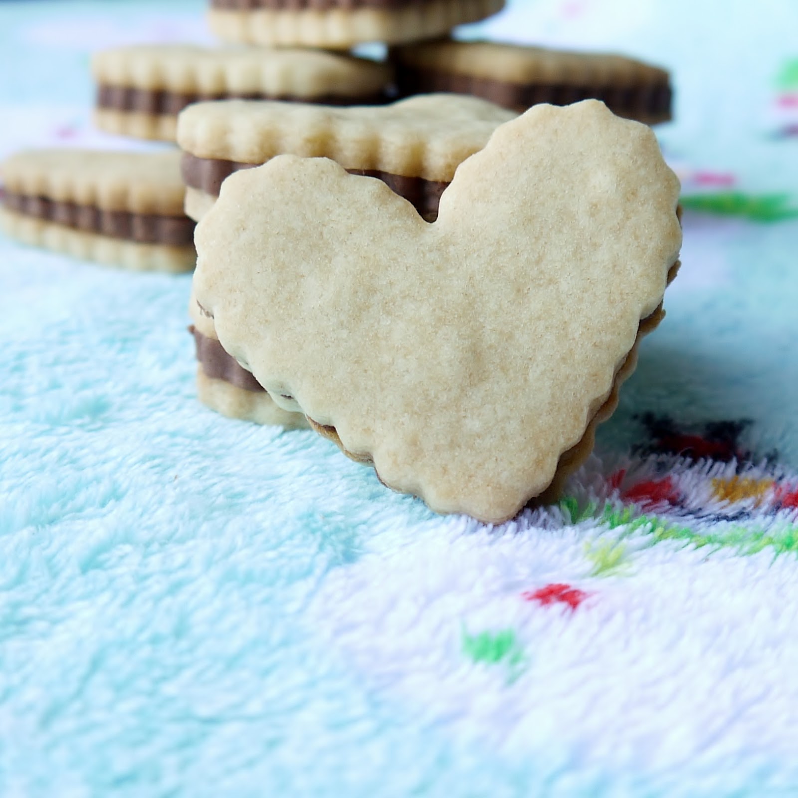 Being the Secret Ingredient Elf Cookies An homage to E.L. Fudge