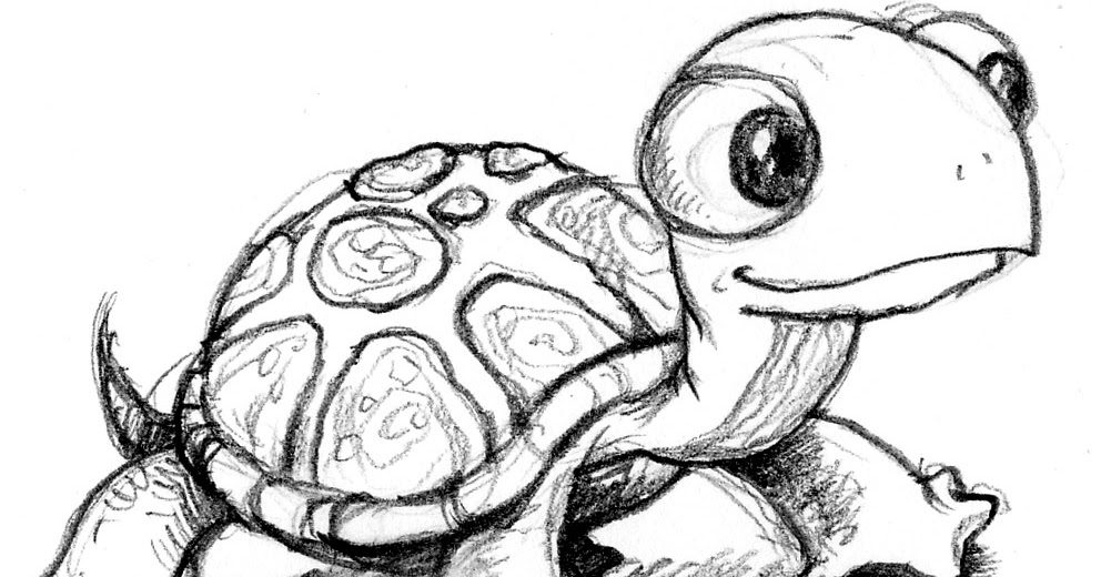 Observaciones: Las Tortugas