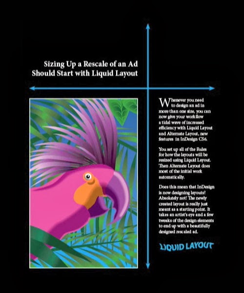 Learn Liquid Layout Learn Liquid Layout