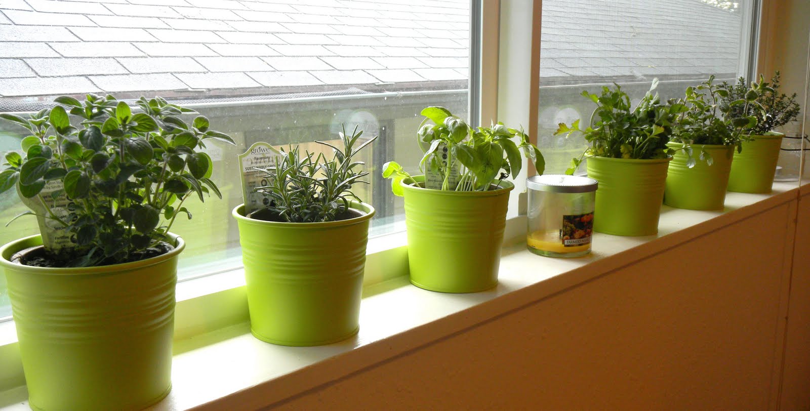 SpaceSaving Ways to Grow an Herb Garden What Simply Works