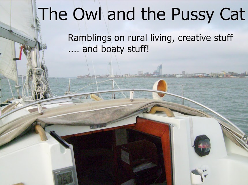 The Owl and the Pussy Cat