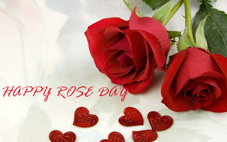 rose day wallpapers rose day wallpapers