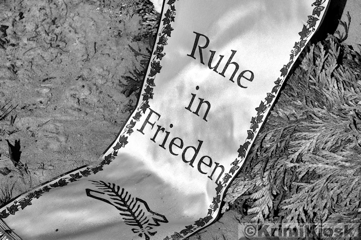 Meine Top 10 Buchempfehlungen Fur Montessori Begeisterte Eltern