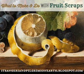 What to Make and Do with Fruit Scraps