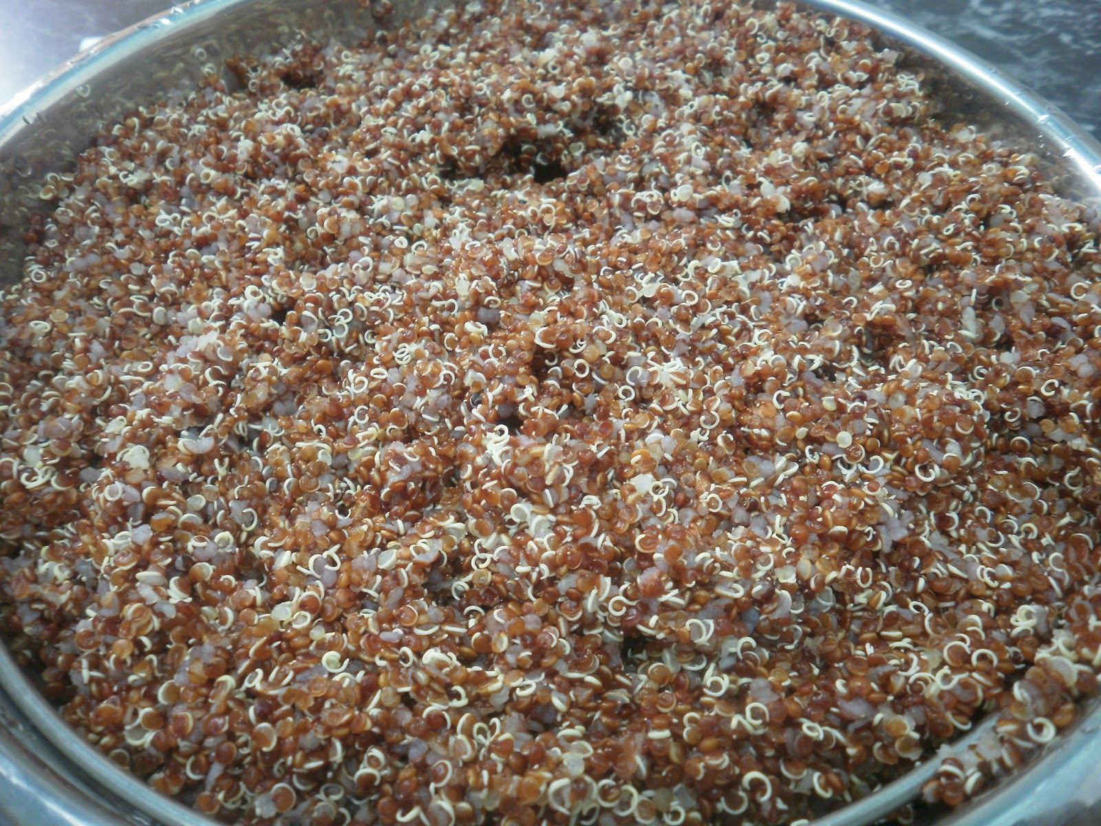 Red Quinoa and Chocolate Chip Cookies