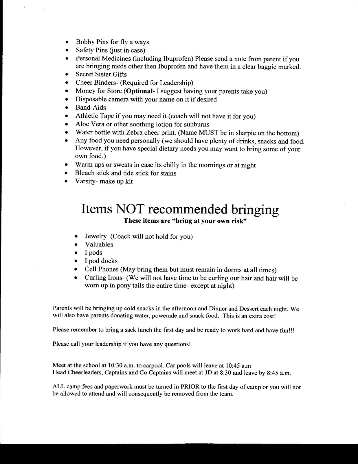 Competitive cheerleading essay image