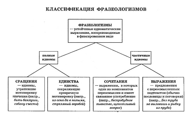 Фразеологизмы со словом кошка и их значение — Кошачий сайт