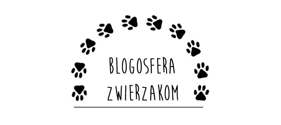 Blogosfera zwierzakom!