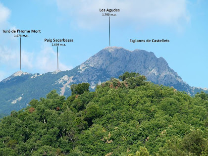 La zona de Les Agudes i Castellets des del Mas de Sant Climent La zona de Les Agudes i Castellets des del Mas de Sant Climent