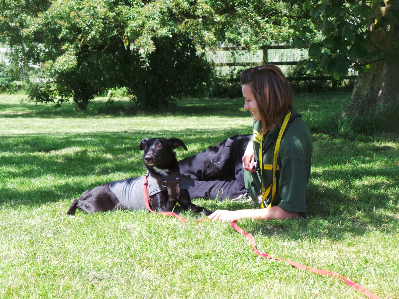 Dogs Trust Dogs Trust Shoreham Thompson