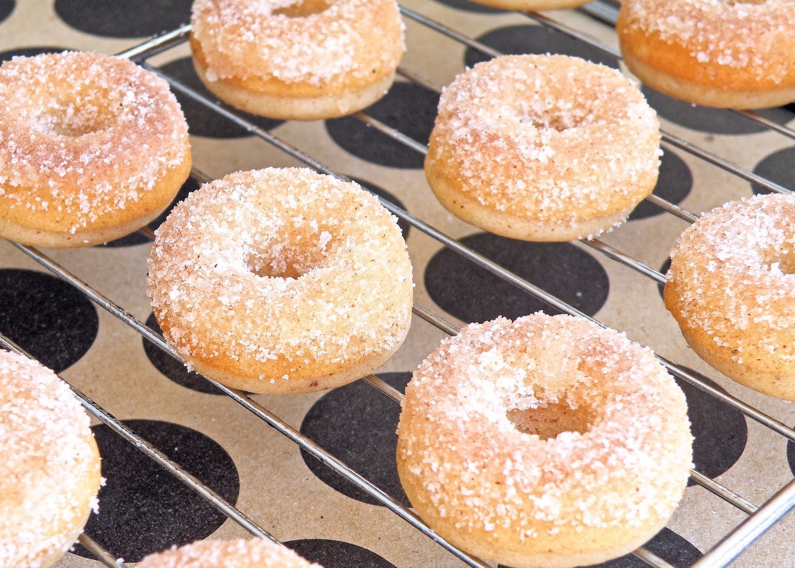 Vittles and Bits Baked Mini Apple Cider Donuts