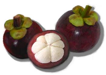 manggis fruit