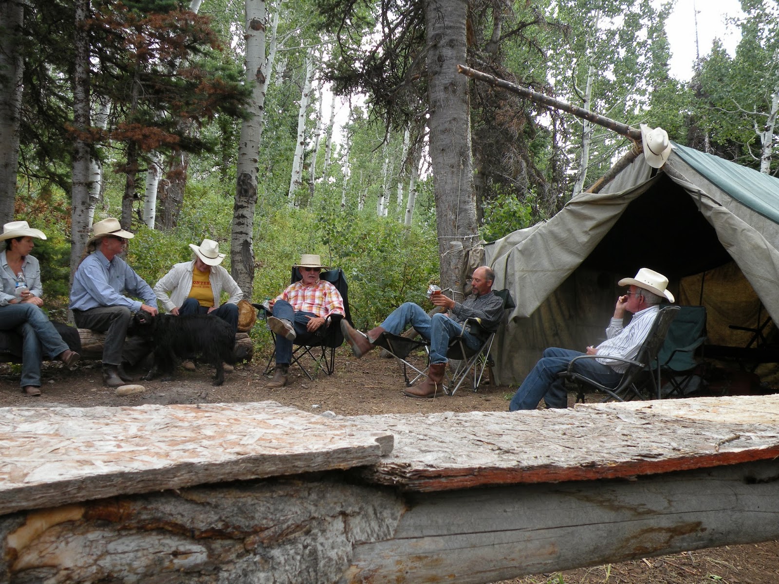 Dream Packer Trail Adventures Monte Cristo, Utah, Lightning Ridge