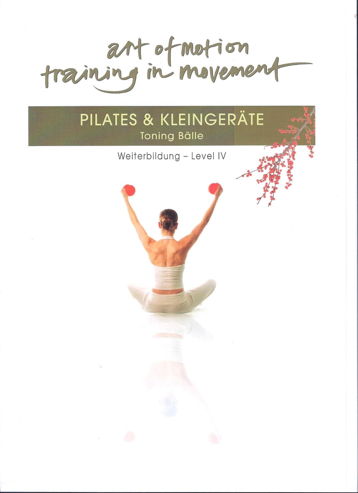 2013 Art Of Motion Newsflash Letzte Chance Pilates
