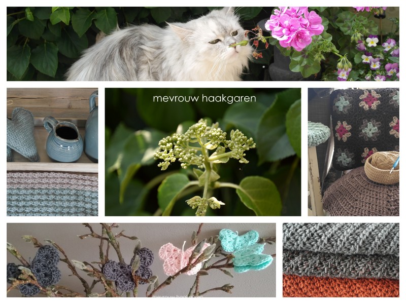 mevrouw haakgaren mevrouw haakgaren