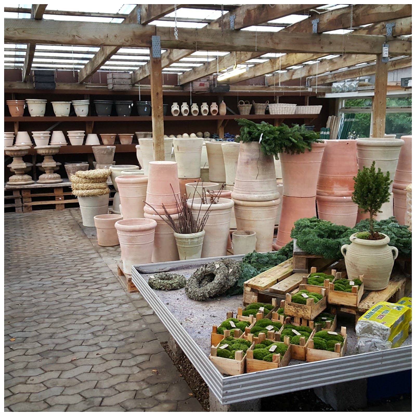 Min lille store have: et krukkeparadis Store krukker til haven