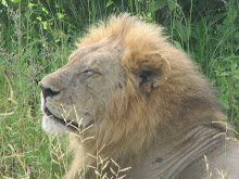 Ruaha National Park #2