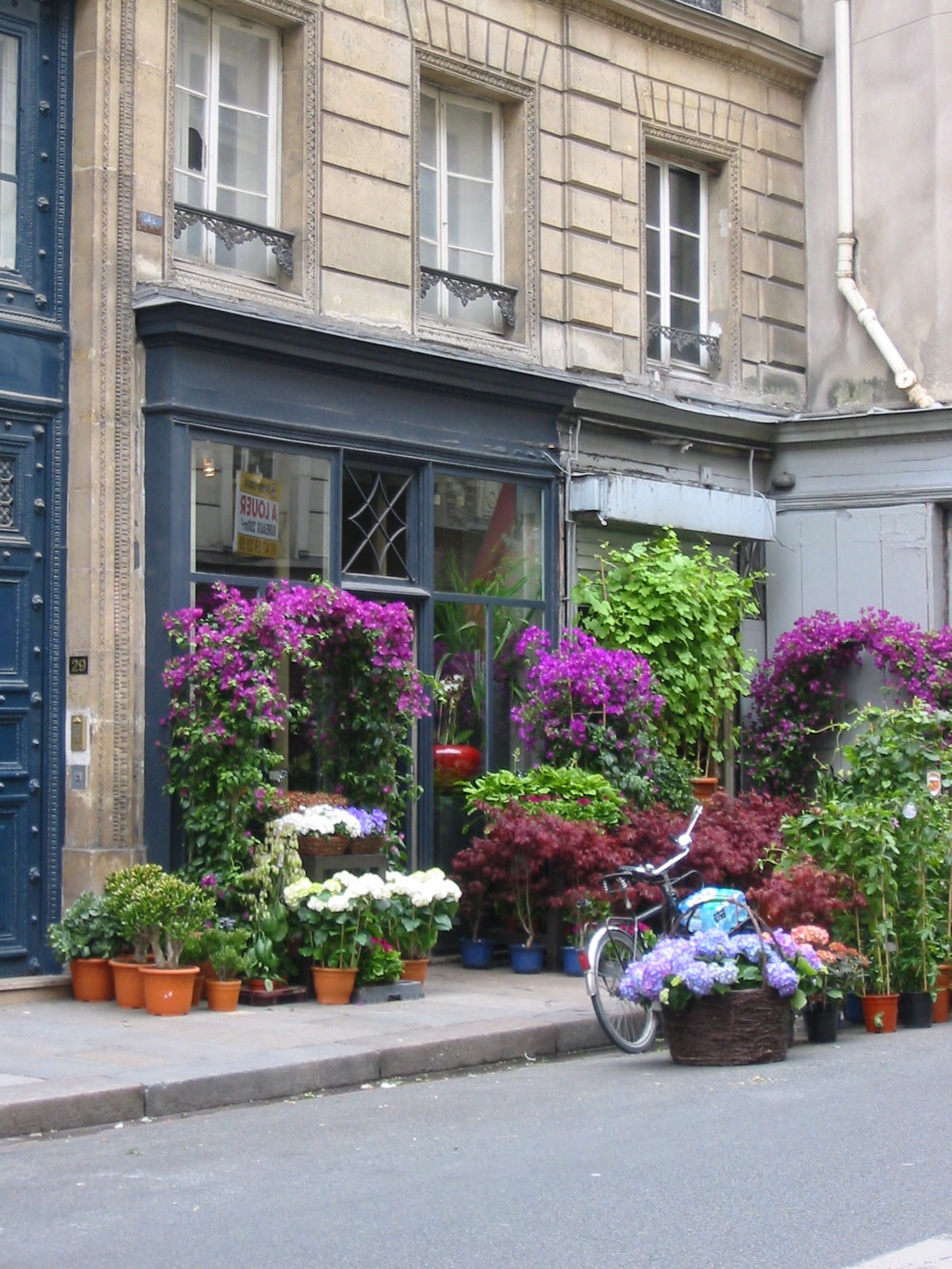 Jessica In Search Of... Flowers in Paris