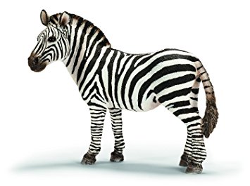 Zebra/ Păi da; e uşor de zis