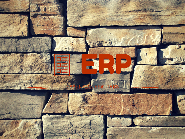 Absolutely essential ERP Features for successful business