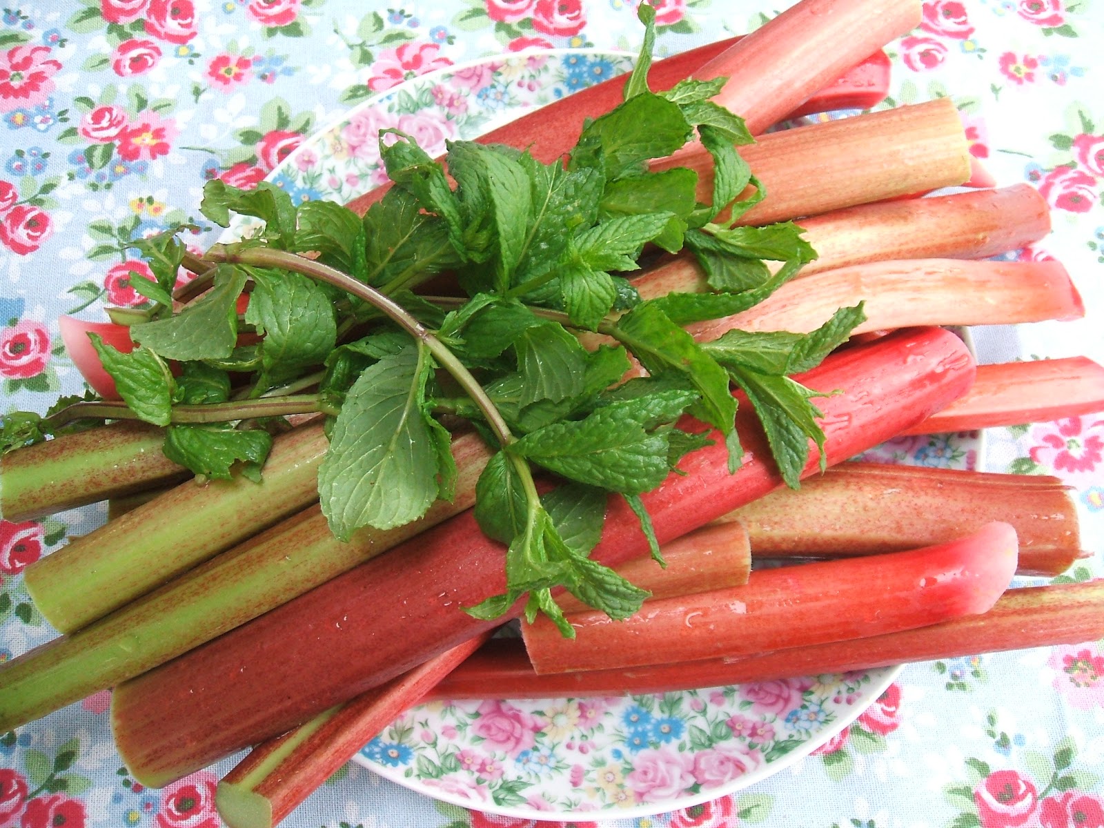 Stitch And Bake Rhubarb and Mint Jam Recipe
