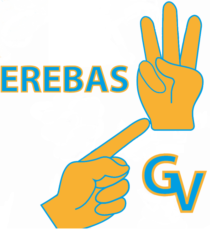 EREBAS Viseu