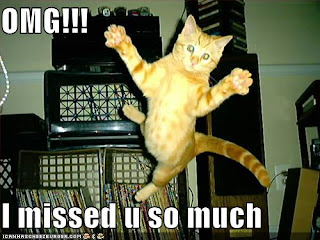 missed-you-lolcat.jpg